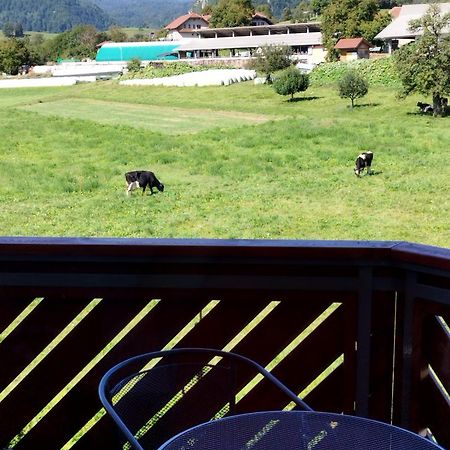 Apartma Julia Spodnje Gorje Exteriér fotografie